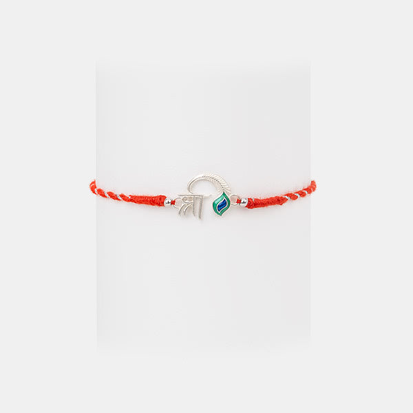 Shri Pankh 925 Silver Rakhi — image 1