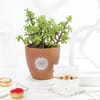 Om And Blessings Rakhi Gift Combo