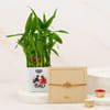 Wishing Tree Rakhi With 2 Layered Bamboo Plant
